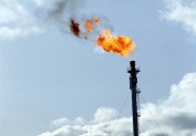 Наталья Комарова: «Мы должны погасить газовые факелы»